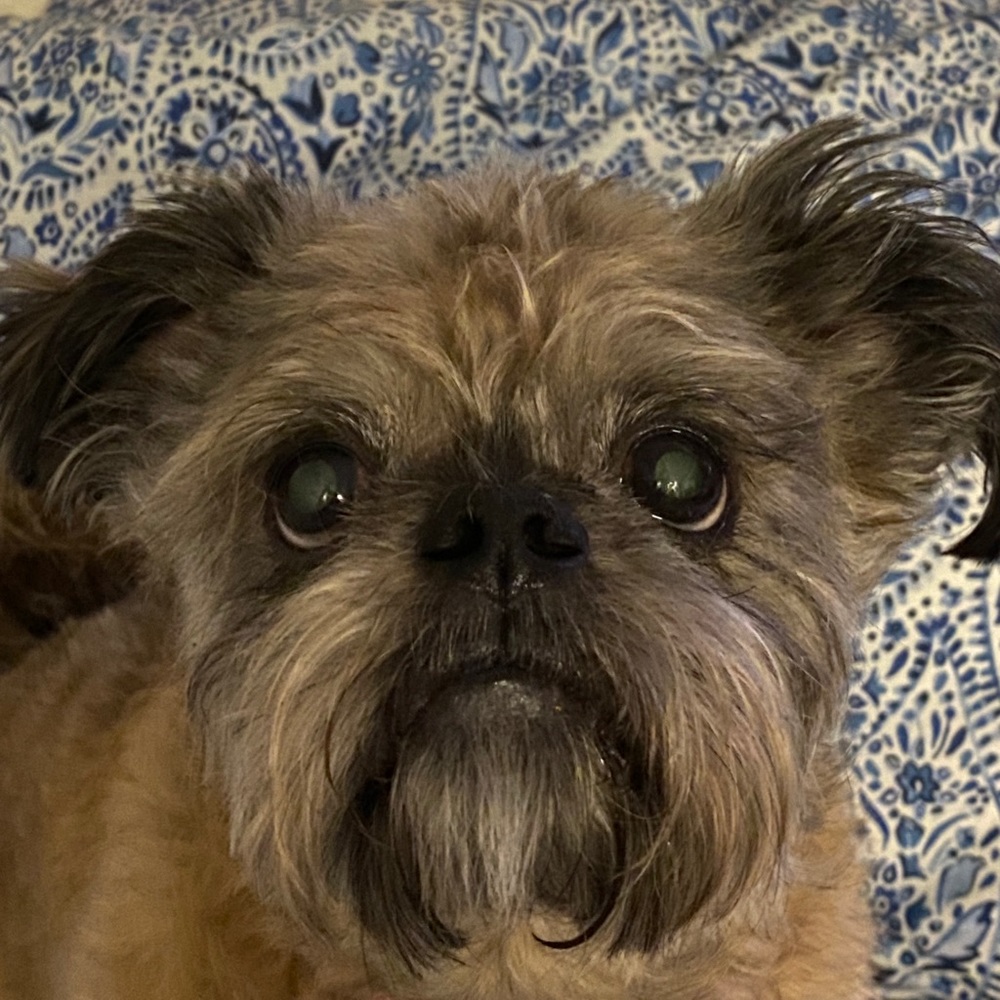 Meet your Posher, Carson